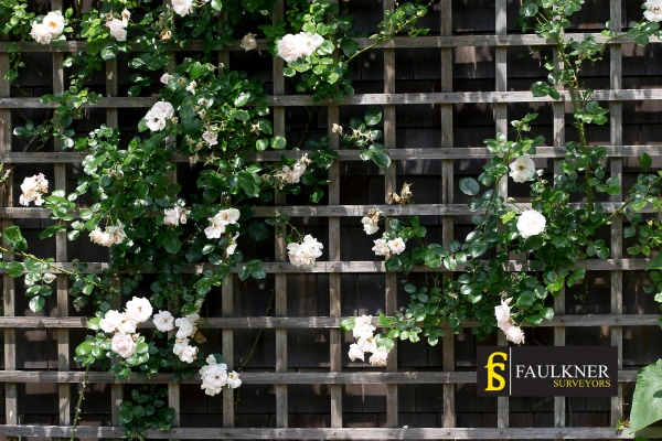 Can I put trellis on my Neighbours garage wall? 2 Do you want to adapt your neighbours garage door and add a trellis Wokingham? Talk to Faulkner Surveyor Wokingham